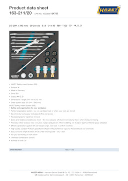 163-211_20_datasheet_en.pdf