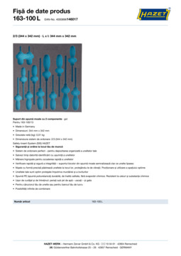 163-100l_datasheet_ro.pdf