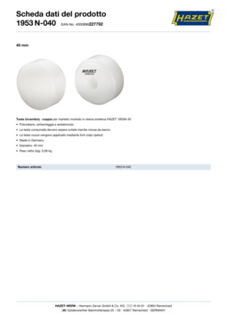 1953n-040_datasheet_it.pdf