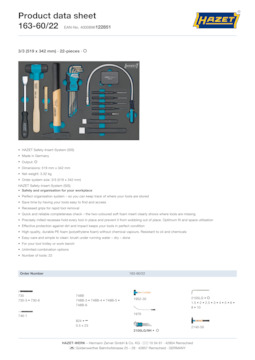 163-60_22_datasheet_en.pdf