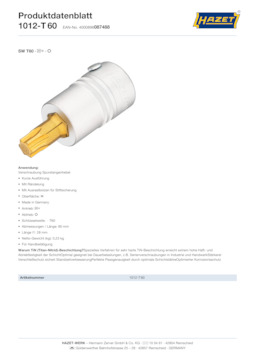 1012-t60_datasheet_de.pdf
