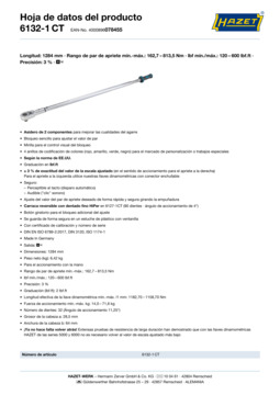 6132-1ct_datasheet_es.pdf