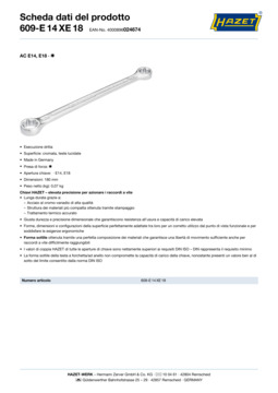 609-e14xe18_datasheet_it.pdf