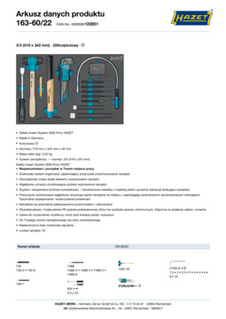 163-60_22_datasheet_pl.pdf