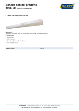1965-20_datasheet_it.pdf