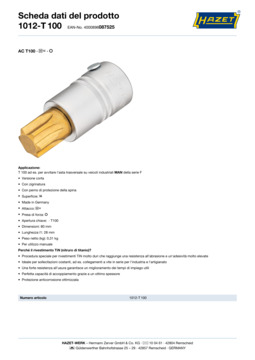 1012-t100_datasheet_it.pdf
