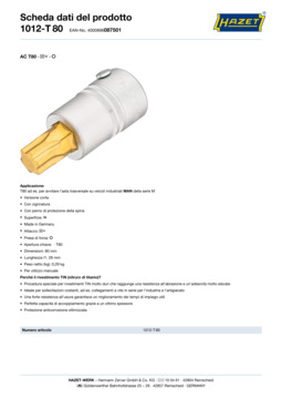 1012-t80_datasheet_it.pdf