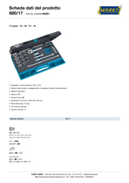 880_17_datasheet_it.pdf