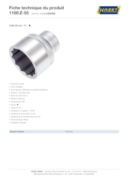 1100z-55_datasheet_fr.pdf