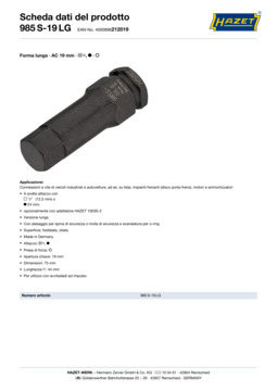 985s-19lg_datasheet_it.pdf