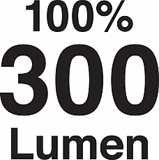 1979_piktogramm_300lumen.jpg