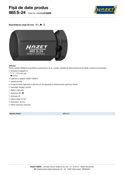 985s-24_datasheet_ro.pdf