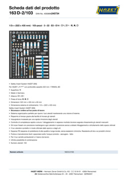 163d-2_103_datasheet_it.pdf