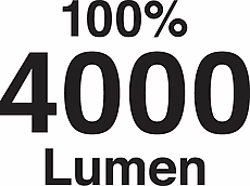 1979_piktogramm_4000lumen.jpg