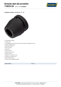 1100s-24_datasheet_it.pdf