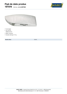 1919n_datasheet_ro.pdf