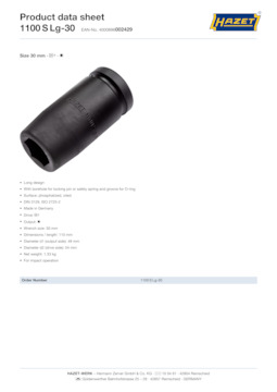 1100slg-30_datasheet_en.pdf