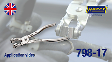 798-17_anwendungsvideo_en.jpg