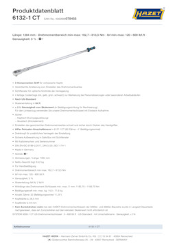 6132-1ct_datasheet_de.pdf