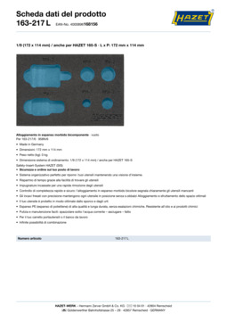163-217l_datasheet_it.pdf