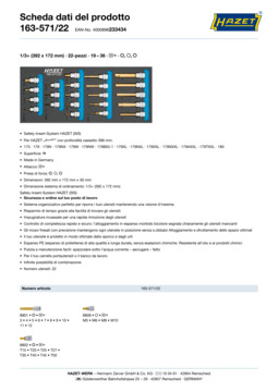 163-571_22_datasheet_it.pdf