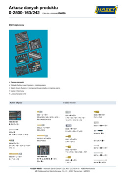0-2500-163_242_datasheet_pl.pdf