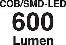 1979w-85_1979n-85_piktogramm_600lumen_cob-smd.jpg
