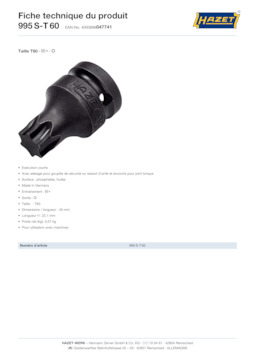 995s-t60_datasheet_fr.pdf