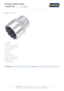 1100z-46_datasheet_en.pdf