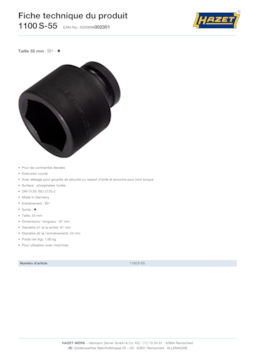 1100s-55_datasheet_fr.pdf