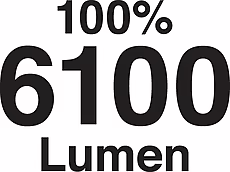 1979_piktogramm_6100lumen.jpg