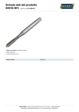 849ig-m5_datasheet_it.pdf