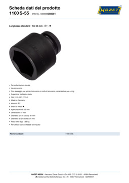 1100s-55_datasheet_it.pdf