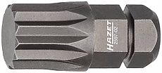 2597-02.jpg