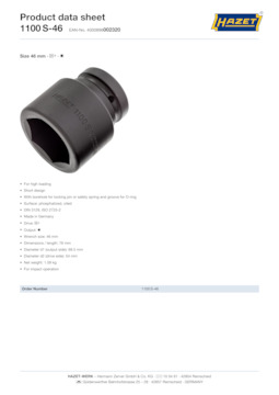 1100s-46_datasheet_en.pdf