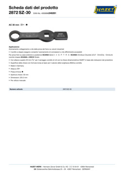 2872sz-30_datasheet_it.pdf
