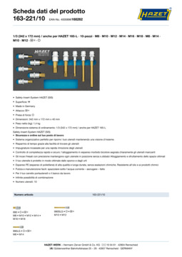 163-221_10_datasheet_it.pdf
