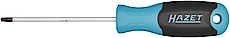 811-t10_detail_1.jpg
