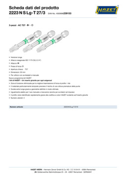 2223nslg-t27_3_datasheet_it.pdf