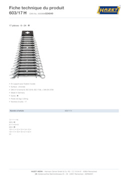 603_17h_datasheet_fr.pdf