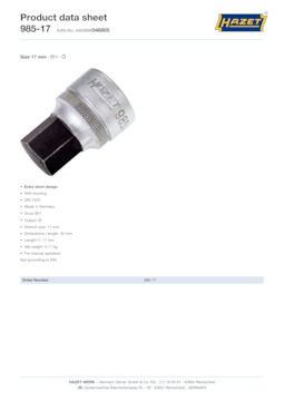 985-17_datasheet_en.pdf