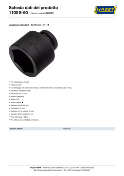1100s-60_datasheet_it.pdf