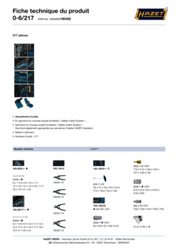 0-6_217_datasheet_fr.pdf