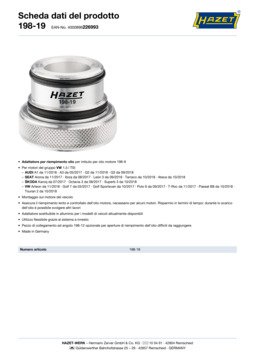 198-19_datasheet_it.pdf