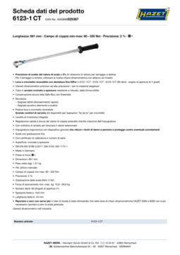6123-1ct_datasheet_it.pdf