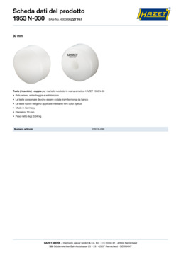 1953n-030_datasheet_it.pdf