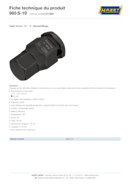 985s-19_datasheet_fr.pdf
