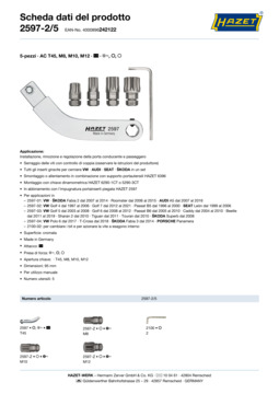 2597-2_5_datasheet_it.pdf
