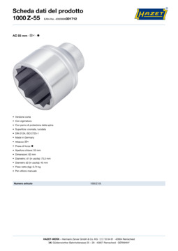 1000z-55_datasheet_it.pdf