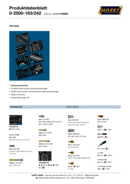 0-2500-163_242_datasheet_de.pdf
